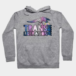 Trans Liberation Now Hoodie